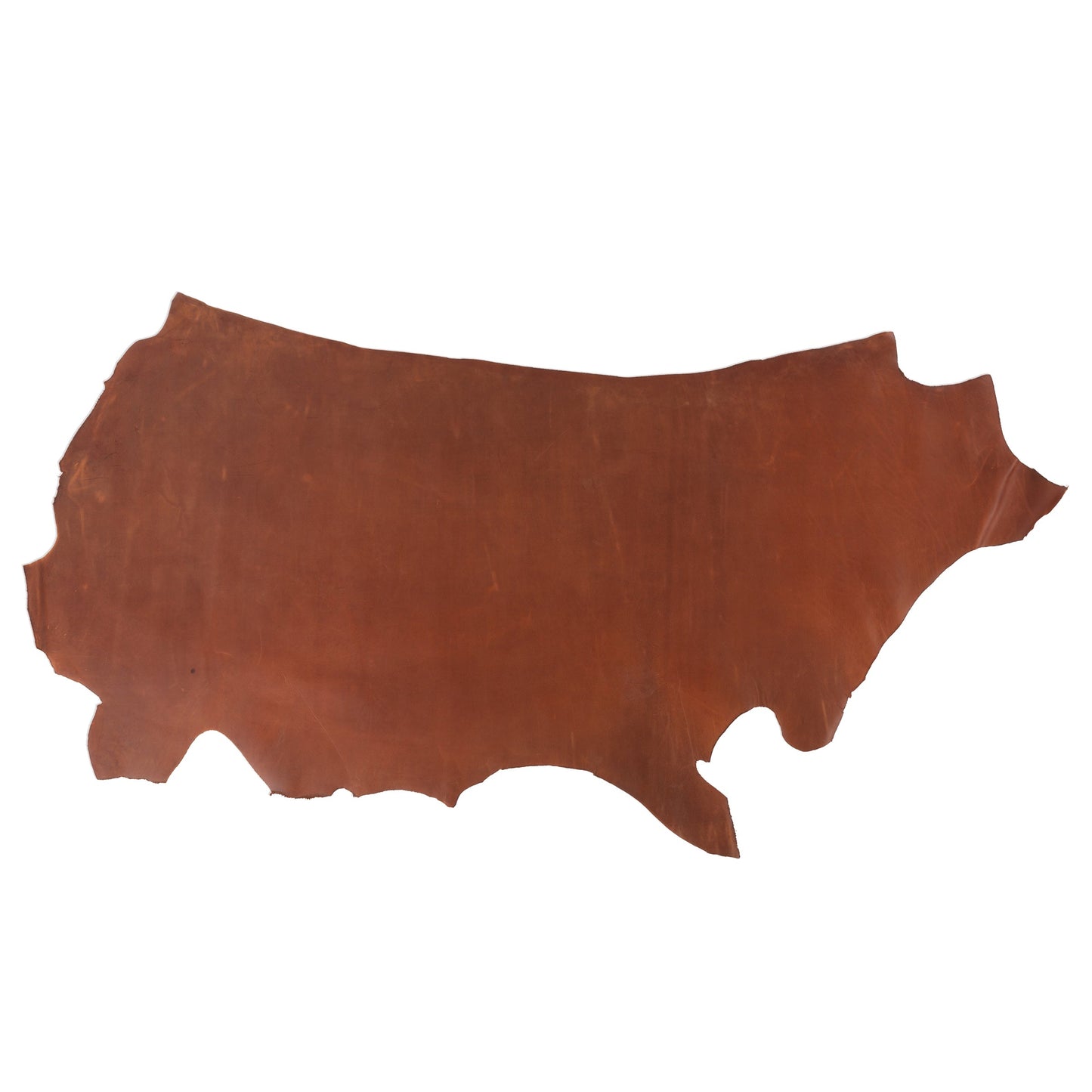 Havana Walnut - 4-4.5 oz
