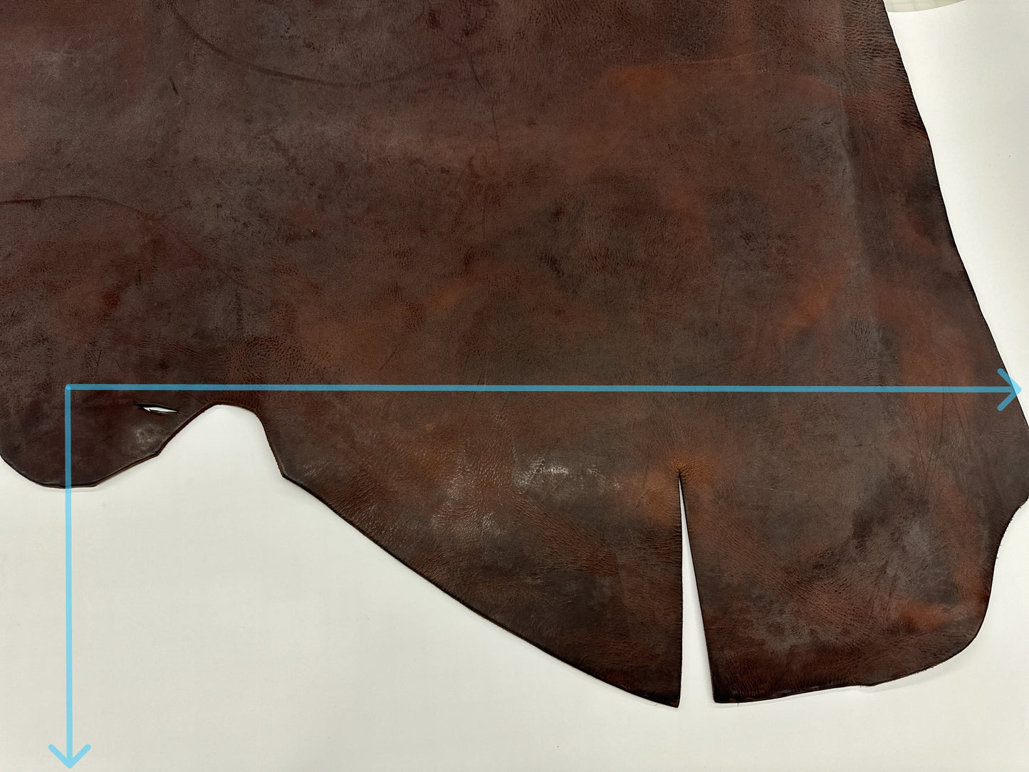 Conceria Dingo - Monet Double Butts Medium Brown